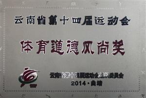 云南省第十四届运动会体育道德风尚奖2014年